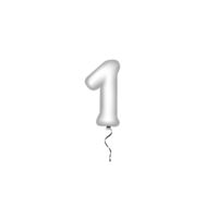 Sluitzegel Verjaardag 045