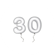 Sluitzegel Verjaardag 054