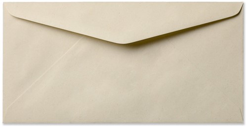 Envelop PaperWise 11 x 22 cm