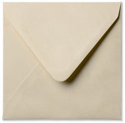 Envelop PaperWise 16 x 16 cm