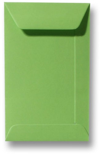 Envelop Specials 6,5 x 10,5 cm appelgroen