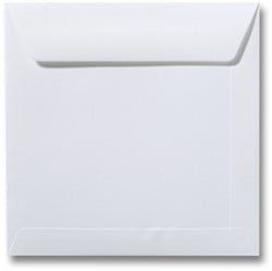 Wit & Biotop 10,5 x 10,5 cm