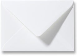 Wit & Biotop 12,5 x 16,5 cm