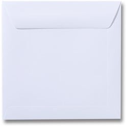 Wit & Biotop 24 x 24 cm